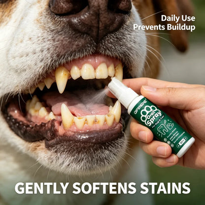 QIFENGHE Dog & Cat Breath Freshener Spray, 30ml Oral Care Solution Removes Stains & Maintains Pet Oral Health