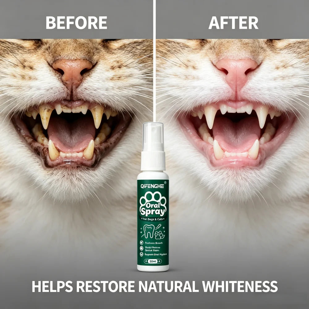 QIFENGHE Dog & Cat Breath Freshener Spray, 30ml Oral Care Solution Removes Stains & Maintains Pet Oral Health