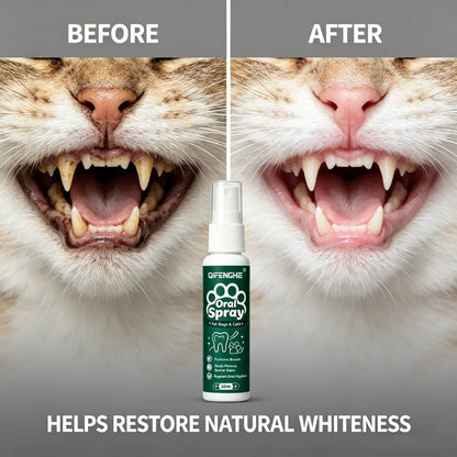 QIFENGHE Dog & Cat Breath Freshener Spray, 30ml Oral Care Solution Removes Stains & Maintains Pet Oral Health