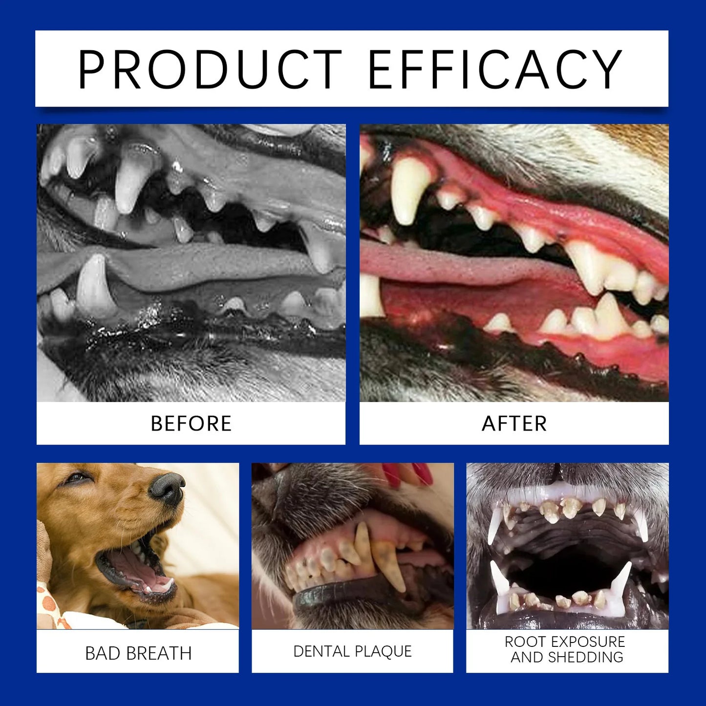 Pet Tooth Cleaning Powder Teeth Stain Remover Eliminates Bad Breath Tartar Remover Teeth Stone Cleaning Dog Dental Care Powder