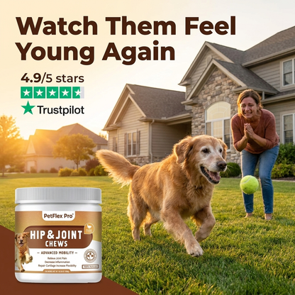 Move With Confidence Again